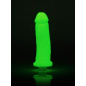 Clone-A-Willy Dildo Kit - Glow in the Dark