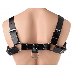 English Bull Dog Harness