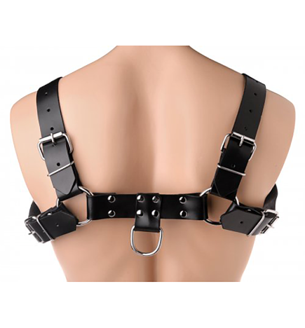 English Bull Dog Harness