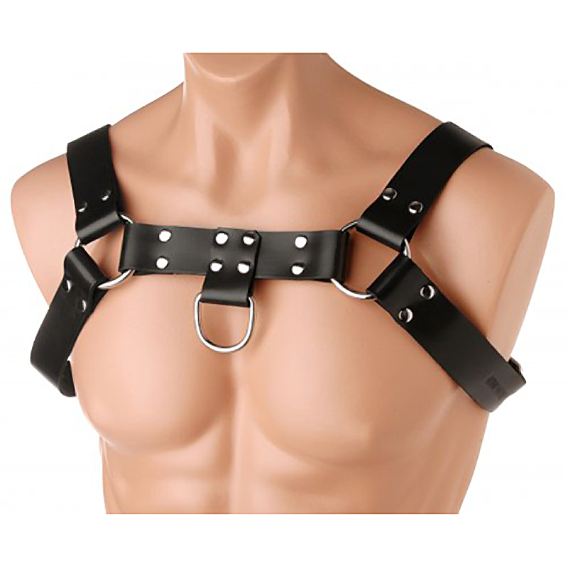 English Bull Dog Harness English Bull Dog Harness
