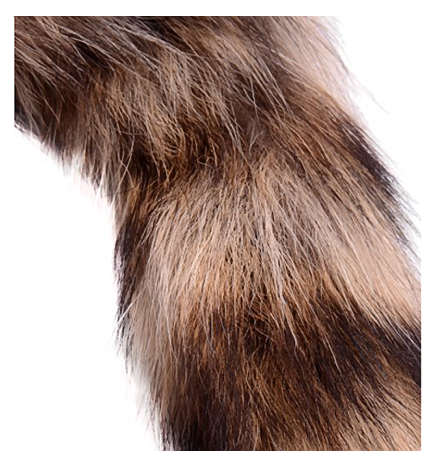 Fox Tail Glass Anal Plug