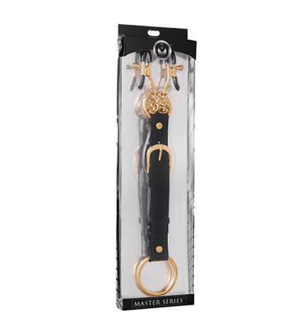 Penitentiary Nipple Clamps and Cock Ring Set