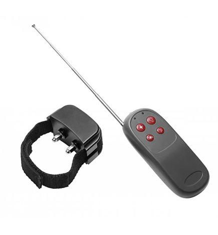Cock Shock Remote CBT Electric Cock Ring