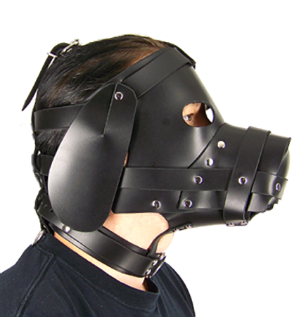 Axovus Leather Puppy Dog Hood