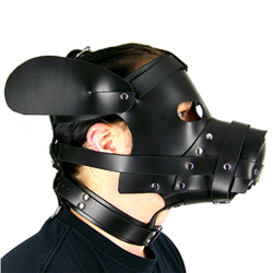 Axovus Leather Puppy Dog Hood