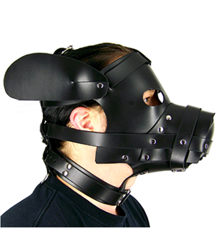 Axovus Leather Puppy Dog Hood