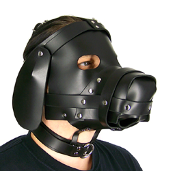 Axovus Leather Puppy Dog Hood