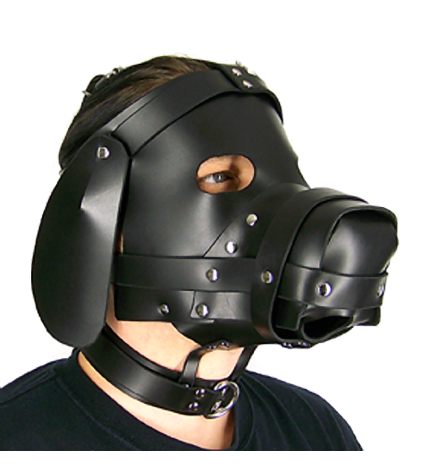 Axovus Leather Puppy Dog Hood