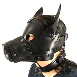 Axovus Leather Big Dog Hood
