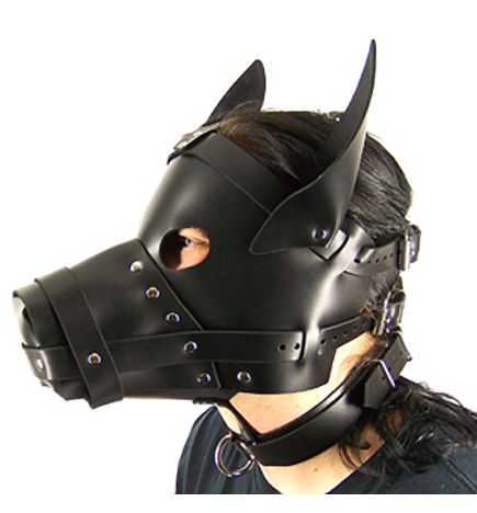 Axovus Leather Big Dog Hood