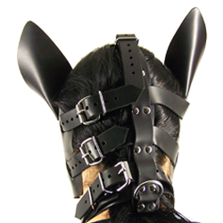 Axovus Leather Big Dog Hood