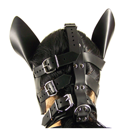 Axovus Leather Big Dog Hood