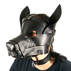 Axovus Leather Big Dog Hood
