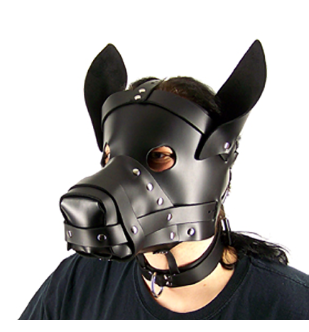 Axovus Leather Big Dog Hood