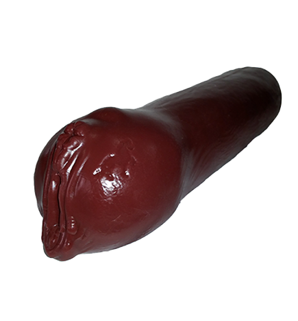 Fetish Zone "Corazanna" Spanish Mare Masturbator