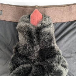 Fetish Zone "Under Murr" Sheath Shorts (V5.0)