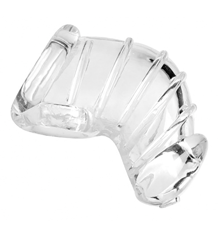 Detained Soft Body Chastity Cage