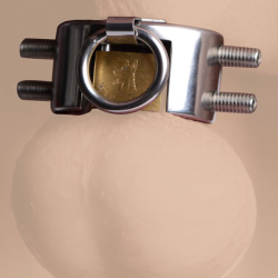 Fiend Stainless Steel CBT Piercing Chamber