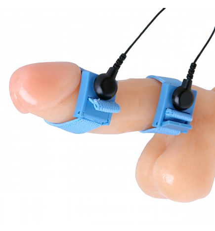 Zeus Electrosex Penis Bands Kit