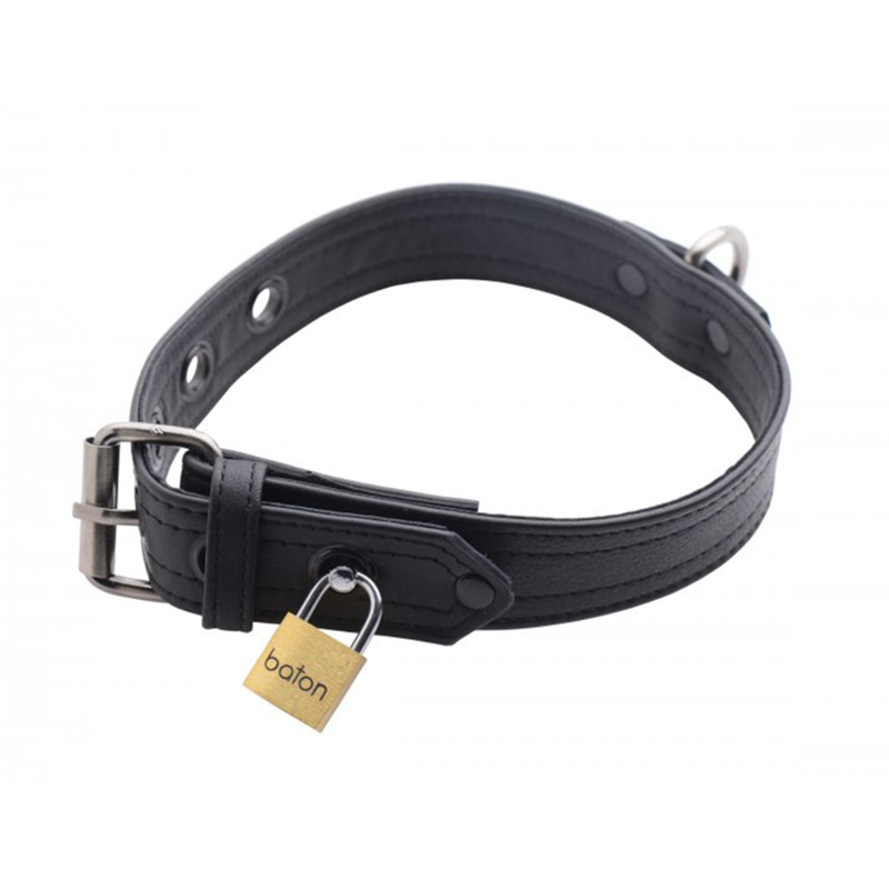 Strict Leather Luxury Locking Collar