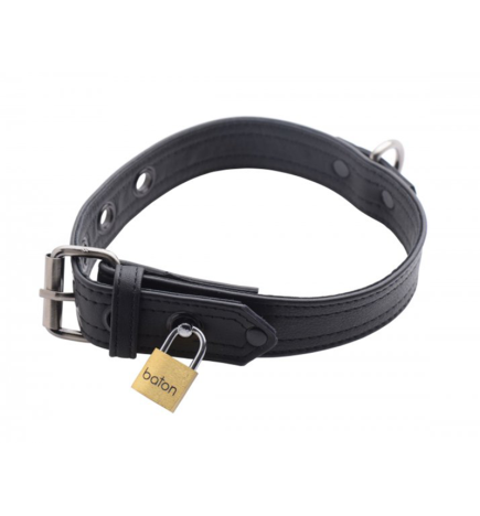 Strict Leather Luxury Locking Collar