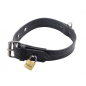 Strict Leather Luxury Locking Collar