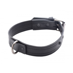 Strict Leather Luxury Locking Collar