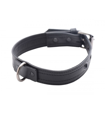 Strict Leather Luxury Locking Collar