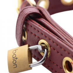 Strict Leather Luxury Burgundy Locking Collar