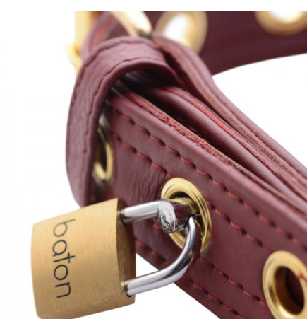 Strict Leather Luxury Burgundy Locking Collar