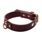 Strict Leather Luxury Burgundy Locking Collar