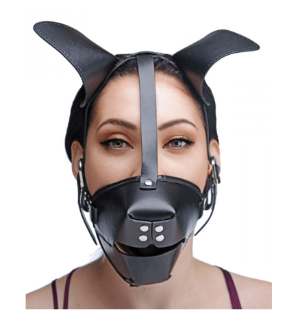 Puppy Play Hood and Breathable Ball Gag