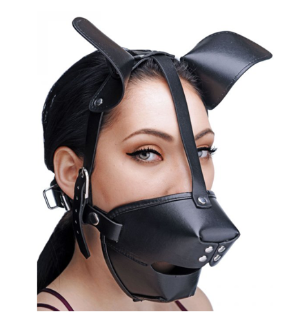 Puppy Play Hood and Breathable Ball Gag