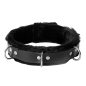 Strict Leather Narrow Fur Lined Locking Leather Collar