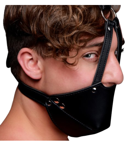 Strict Leather Mouth Harness with Ball Gag