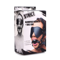 Strict Leather Blindfold Harness and Ball Gag
