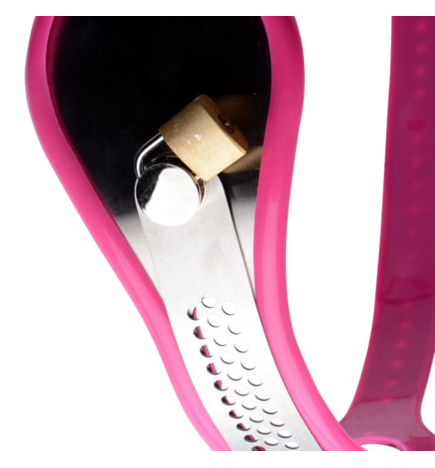 Pink Stainless Steel Adjustable Female Chastity Belt