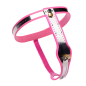 Pink Stainless Steel Adjustable Female Chastity Belt