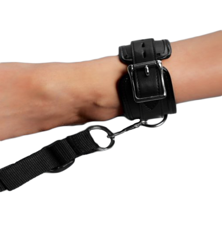 Deluxe Bed Restraint Kit
