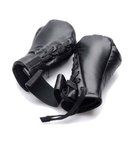 Strict Leather Padded Puppy Mitts