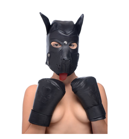 Strict Leather Padded Puppy Mitts
