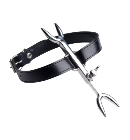Heretics Fork