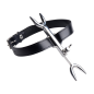 Heretics Fork