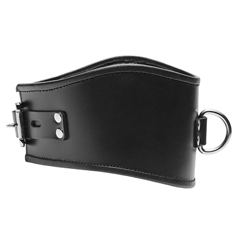 Padded Leather Locking Posture Collar