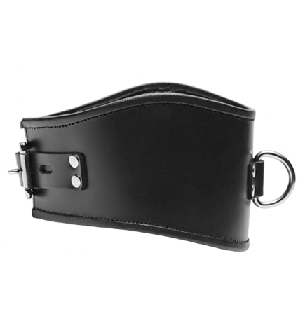 Padded Leather Locking Posture Collar