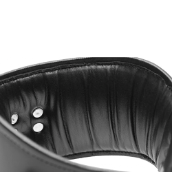 Padded Leather Locking Posture Collar