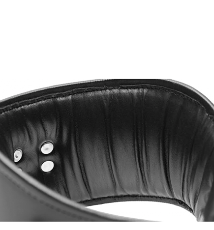 Padded Leather Locking Posture Collar