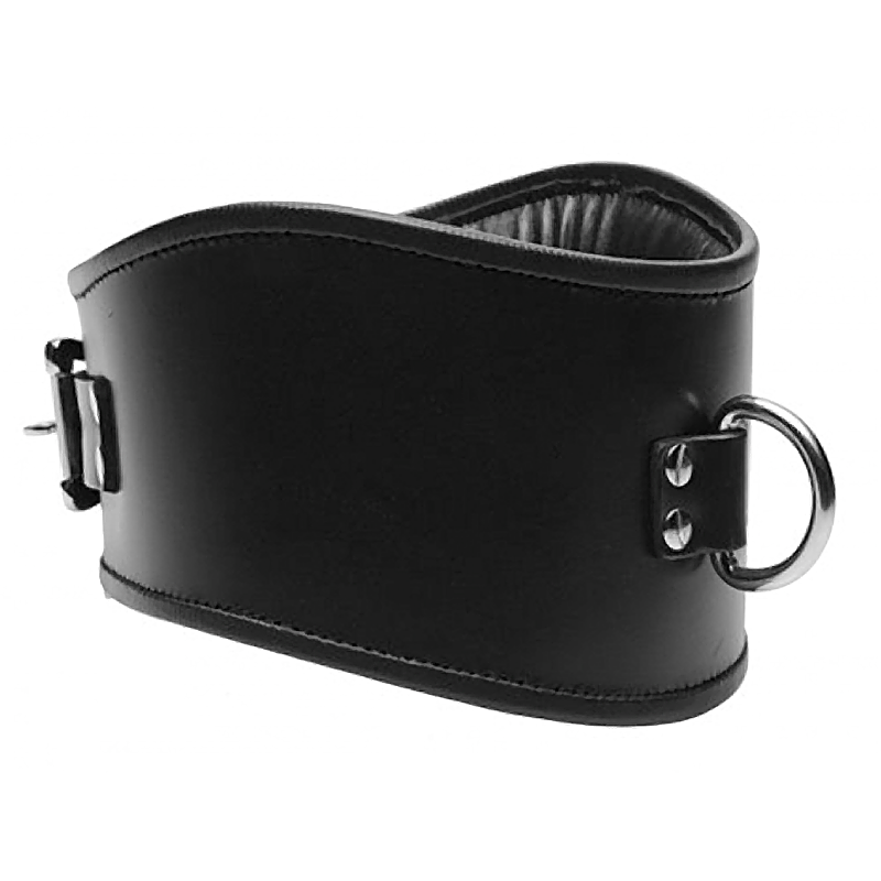 Padded Leather Locking Posture Collar Padded Leather Locking Posture Collar