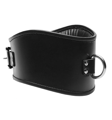 Padded Leather Locking Posture Collar