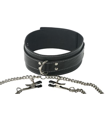 Coveted Collar and Clamp Union